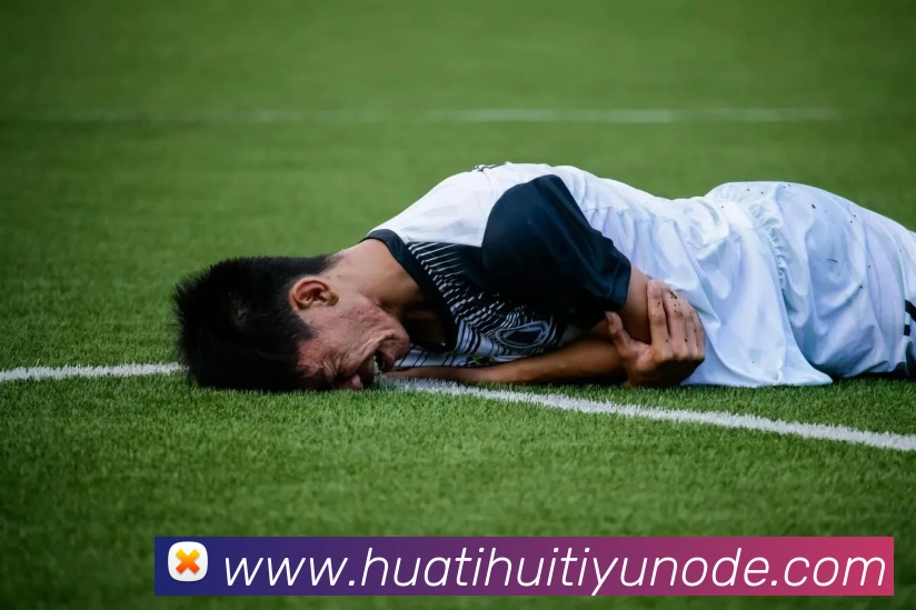 华体会体育APP 封面图